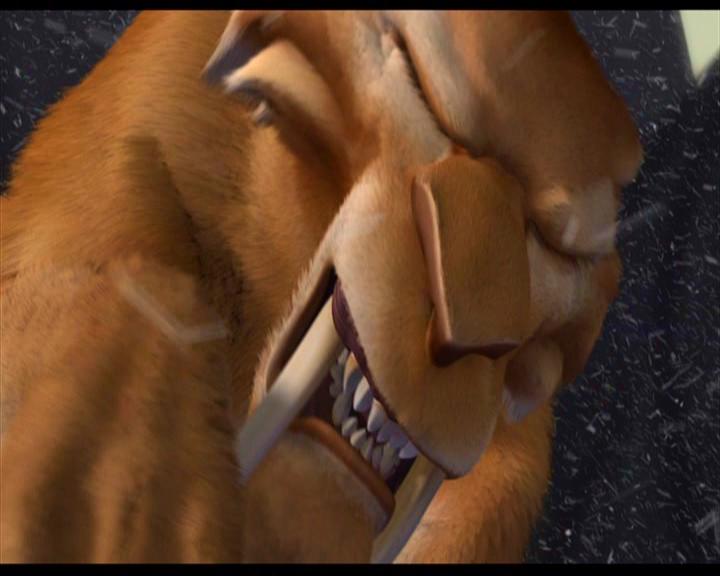 Diego5.jpg